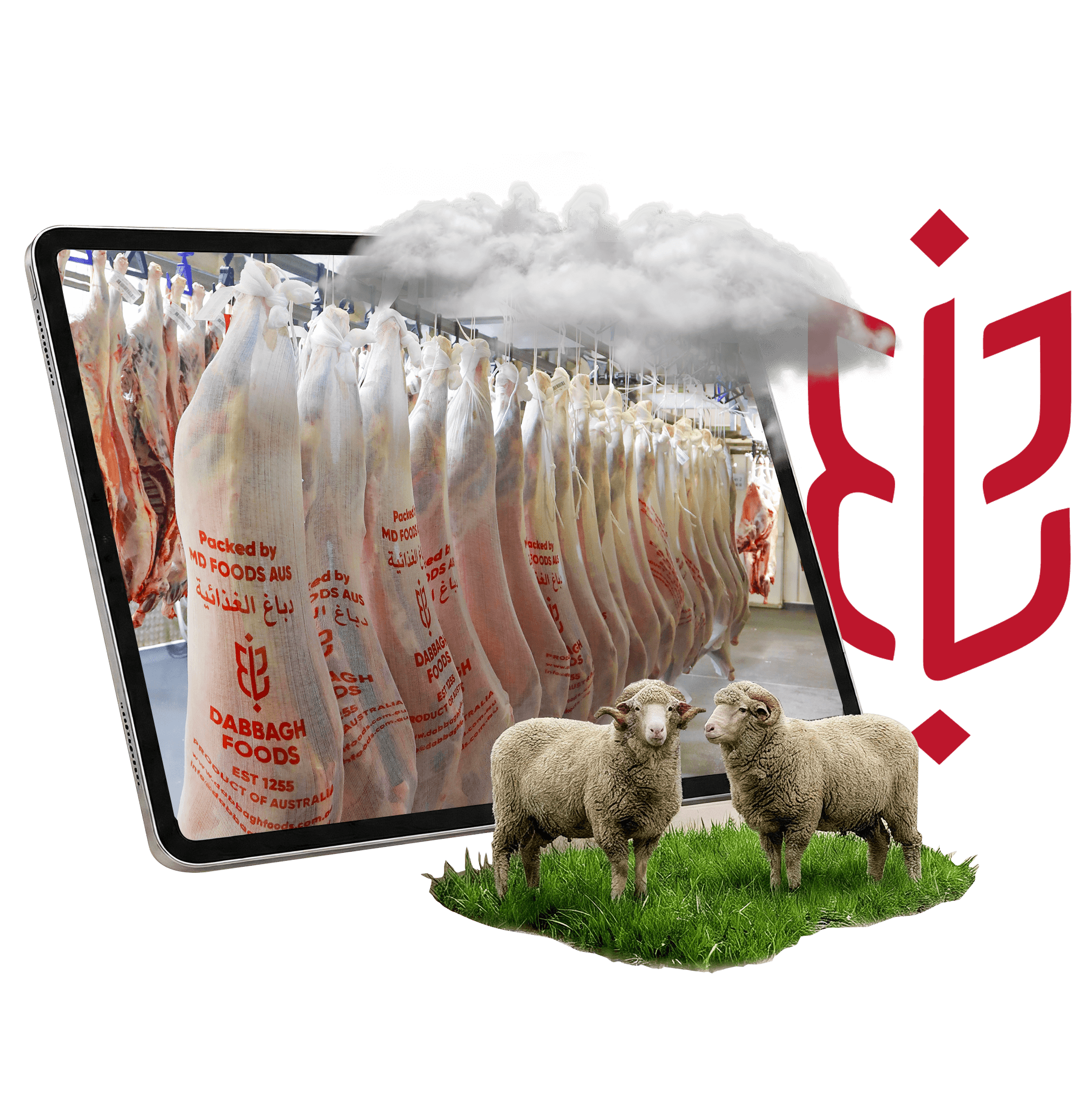 Dabbagh Foods