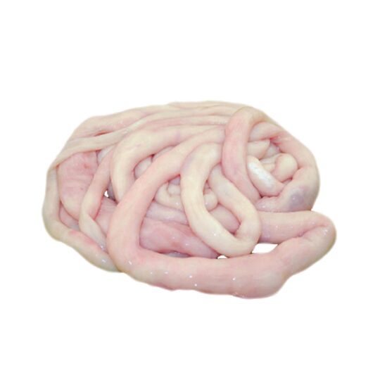 Intestines