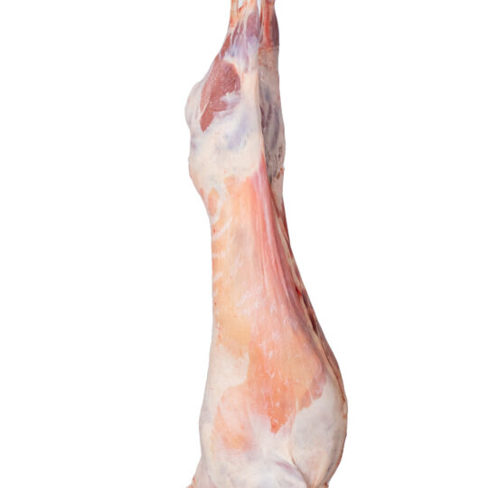 Chilled Bone In Mutton Carcase