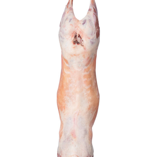 Chilled Bone In Ovin Carcase