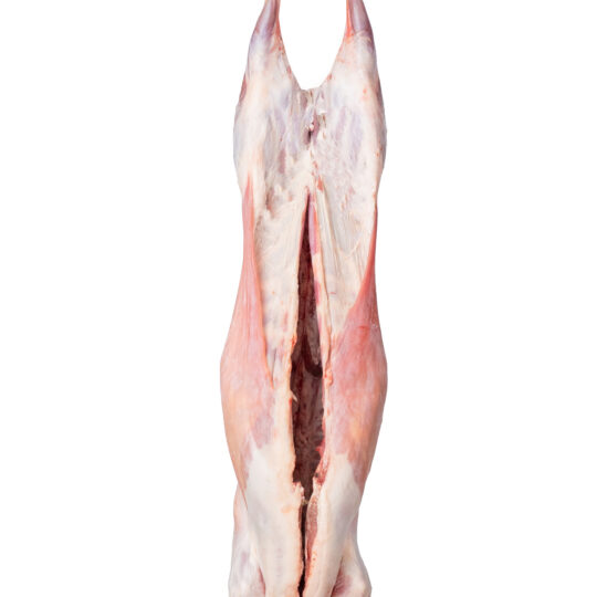 Chilled Bone In Lamb Carcase