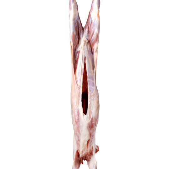 Frozen Bone In Mutton Carcases