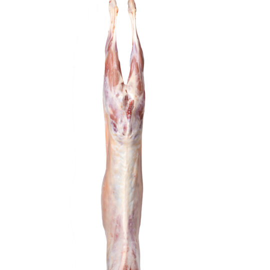 Frozen Bone In Lamb Carcase