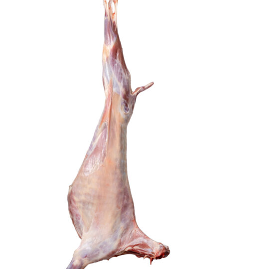 Frozen Bone In Mutton Carcases Storable
