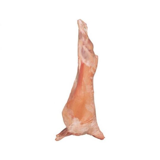 NewZealand Frozen Mutton Carcass