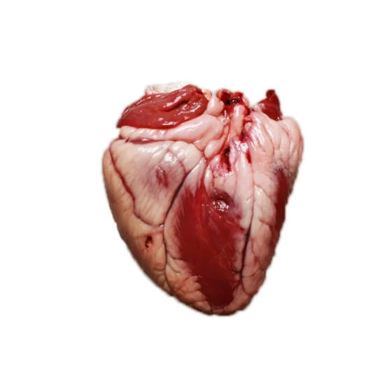 Ovin Heart