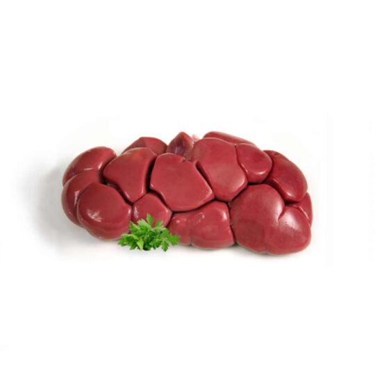 Ovin Kidney
