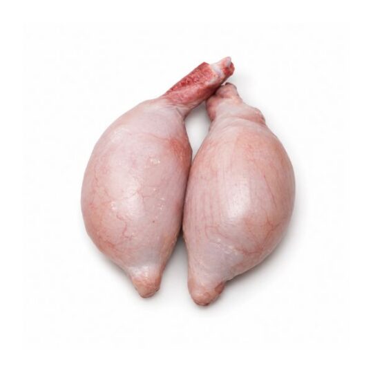 Testis